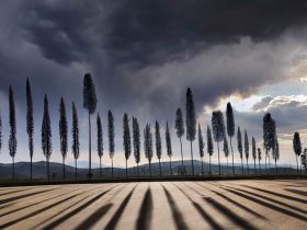 der photolatier - copyright Sixtus Seelenmeyer