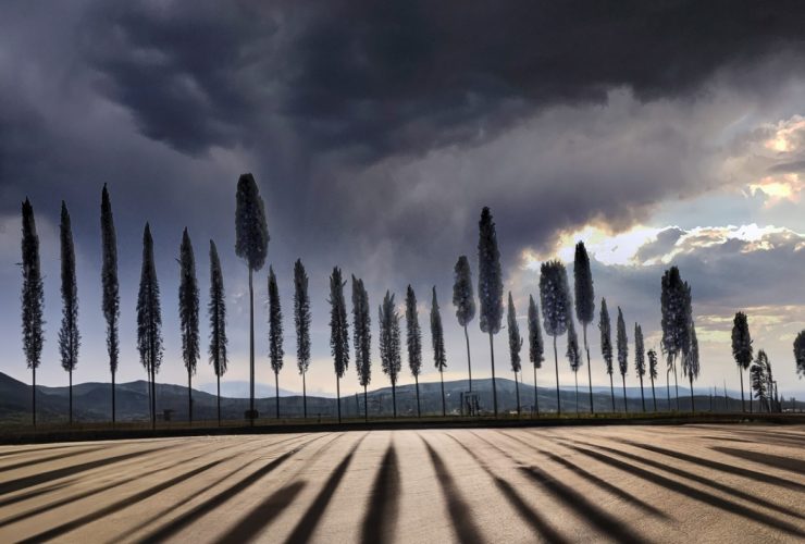 der photolatier - copyright Sixtus Seelenmeyer