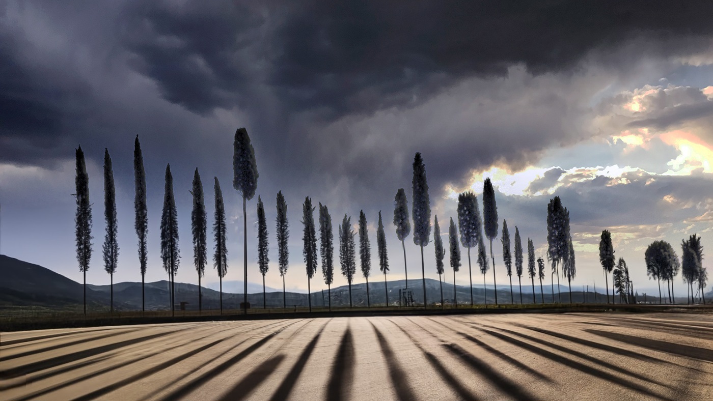 der photolatier - copyright Sixtus Seelenmeyer