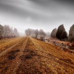 der photolatier - copyright Sixtus Seelenmeyer