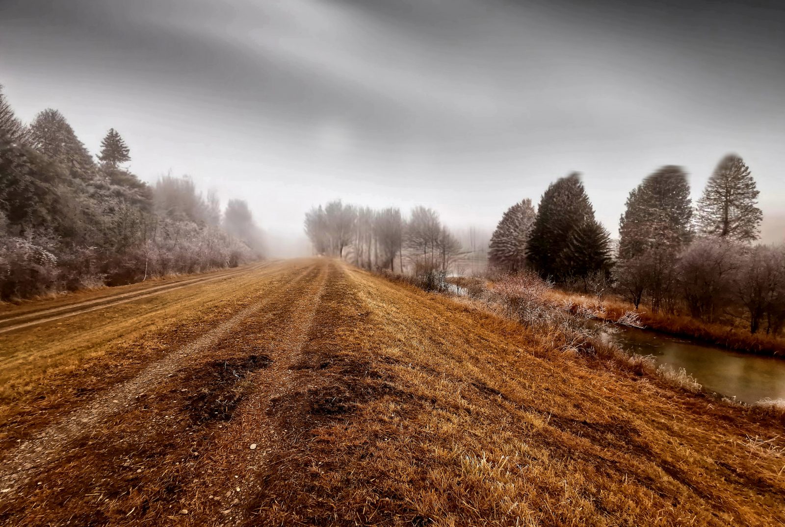 der photolatier - copyright Sixtus Seelenmeyer