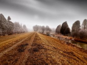 der photolatier - copyright Sixtus Seelenmeyer