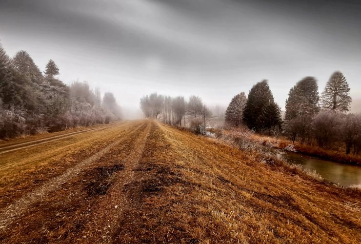 der photolatier - copyright Sixtus Seelenmeyer