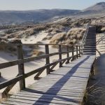 der photolatier - copyright Sixtus Seelenmeyer