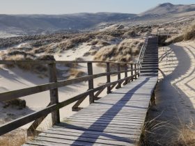 der photolatier - copyright Sixtus Seelenmeyer