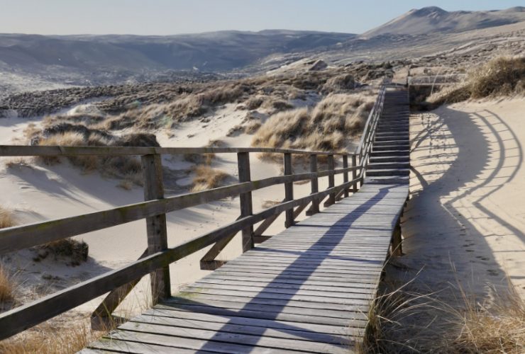 der photolatier - copyright Sixtus Seelenmeyer