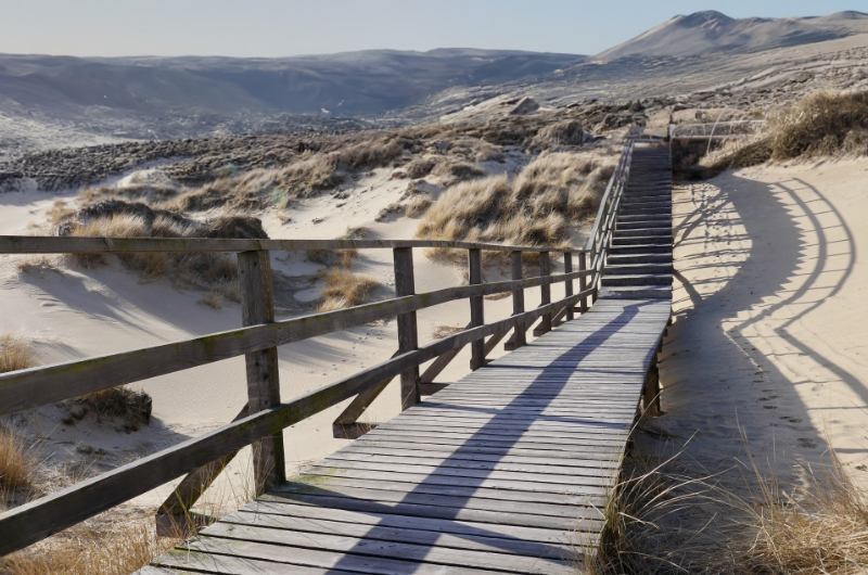 der photolatier - copyright Sixtus Seelenmeyer